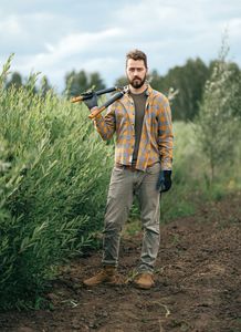 The Grafted Branch